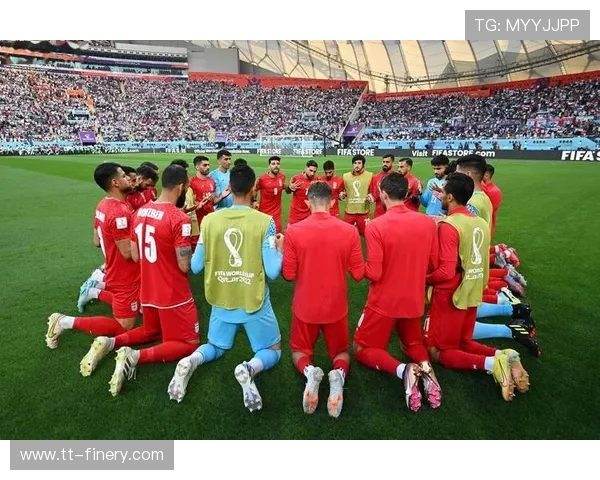 FIFA2002世界杯韩国日本激情碰撞传奇盛宴绿茵风云录辉煌